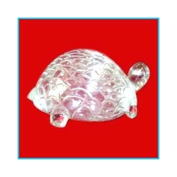  crystal kachua