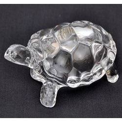 crystal kachua