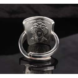 KAAL SARP YOG S RING