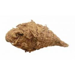 Kali(Turmeric)Haldi