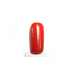 Red coral(Moonga)