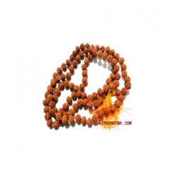 Rudrakash  Mala